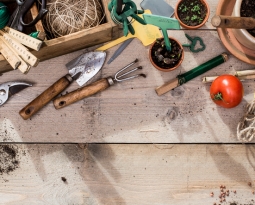 Tips for Maintaining your Gardening Tools